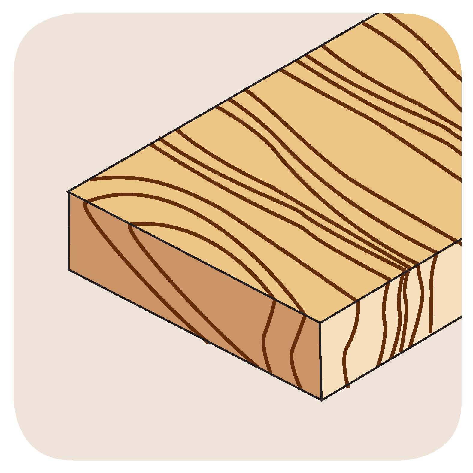 Werkstoff: Holz Längsschnitt (Weichholz, Hartholz, Exotenholz, Furniere) Werkstoff: Holz Längsschnitt (Weichholz, Hartholz, Exotenholz, Furniere)