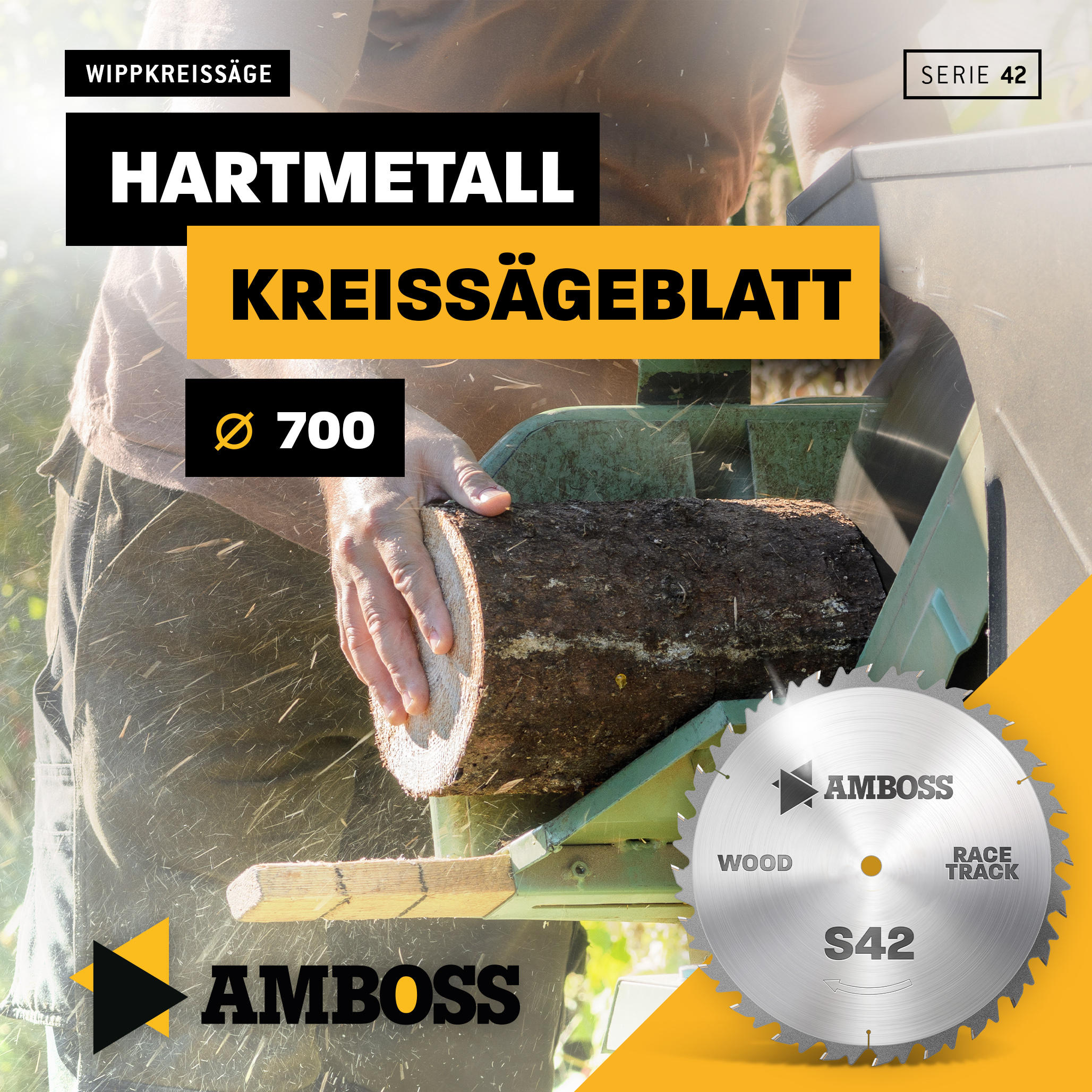HM Kreissägeblatt - 700 x 4/3.0 x 30 Z42 WZ HM Kreissägeblatt - 700 x 4/3.0 x 30 Z42 WZ