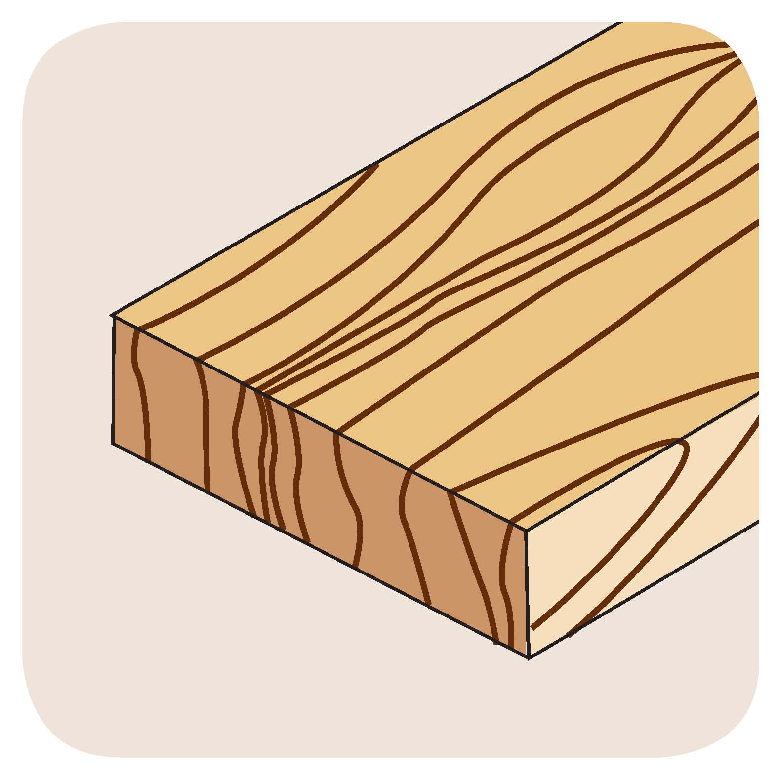 Werkstoff: Holz Querschnitt (Weichholz, Hartholz, Exotenholz, Furniere)