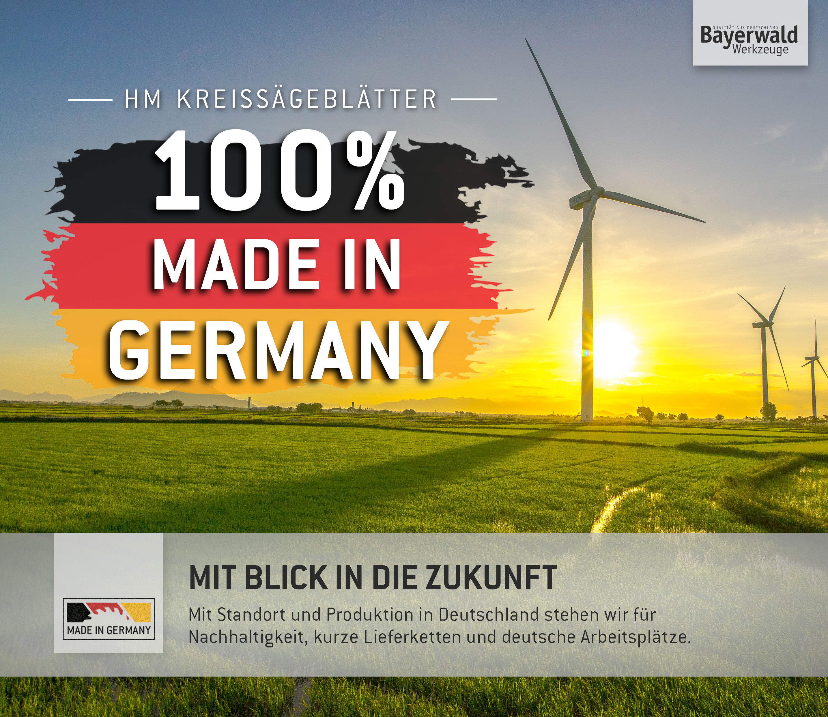HM Kreissägeblatt - 230 x 2.2/1.8 x 30 Z44 WZ HM Kreissägeblatt - 230 x 2.2/1.8 x 30 Z44 WZ
