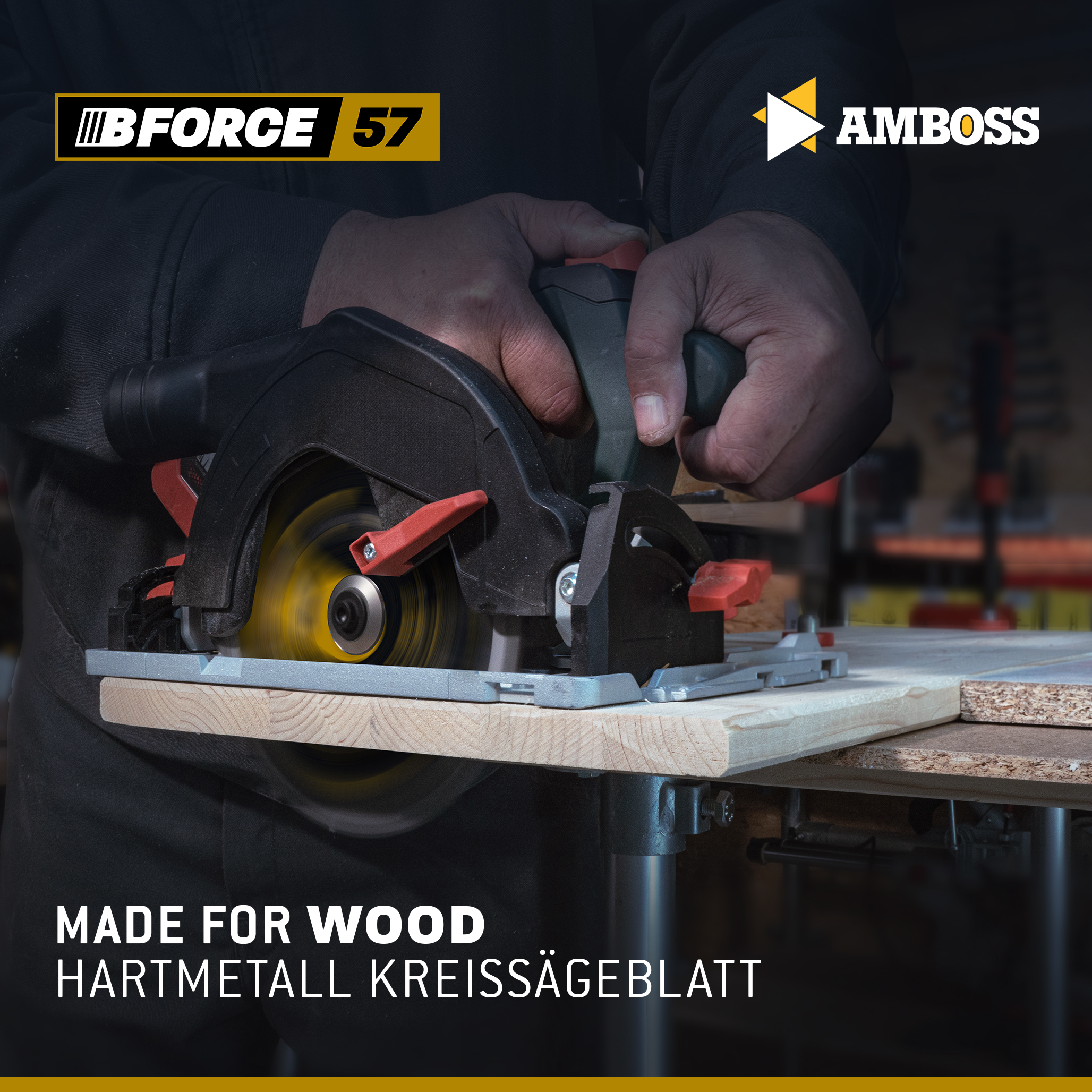 HM Kreissägeblatt - 165 x 1.5/1.0 x 20 Z36 WZ HM Kreissägeblatt - 165 x 1.5/1.0 x 20 Z36 WZ
