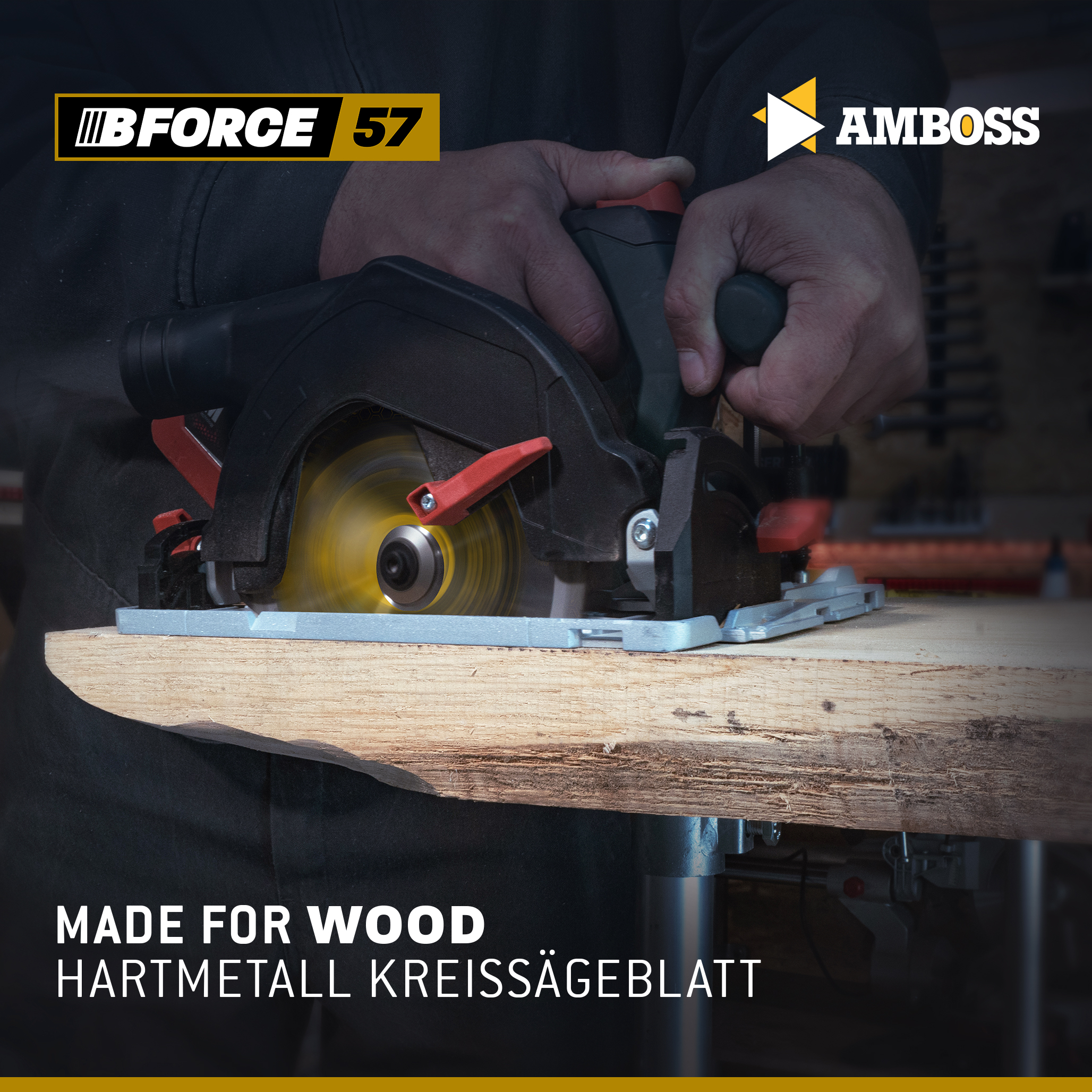 HM Kreissägeblatt - 165 x 1.5/1.0 x 20 Z12 WZ HM Kreissägeblatt - 165 x 1.5/1.0 x 20 Z12 WZ