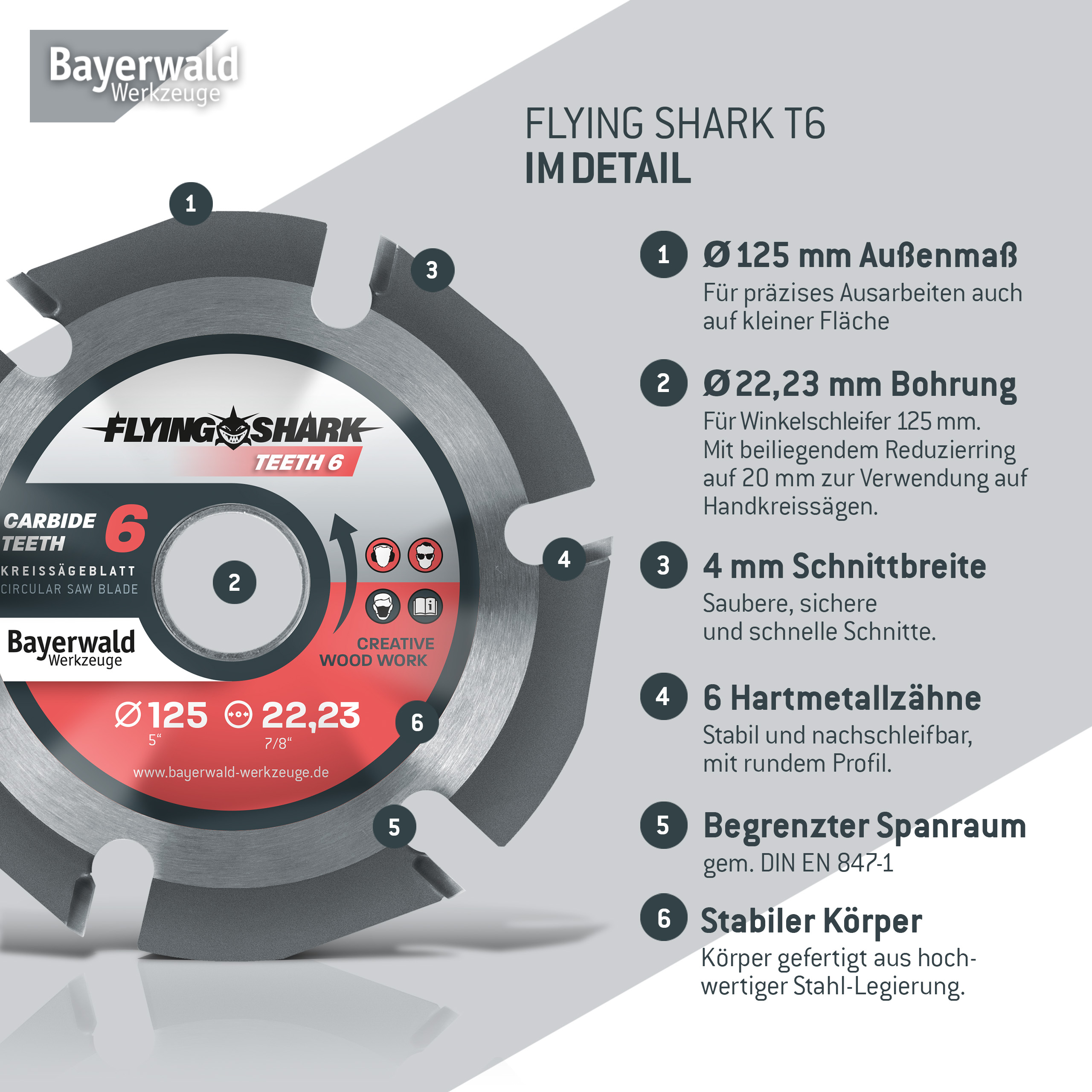 Bayerwald Flying Shark - Hartmetall Frässcheibe - Ø 125 x 22,23 mm Z6 Bayerwald Flying Shark - Hartmetall Frässcheibe - Ø 125 x 22,23 mm Z6