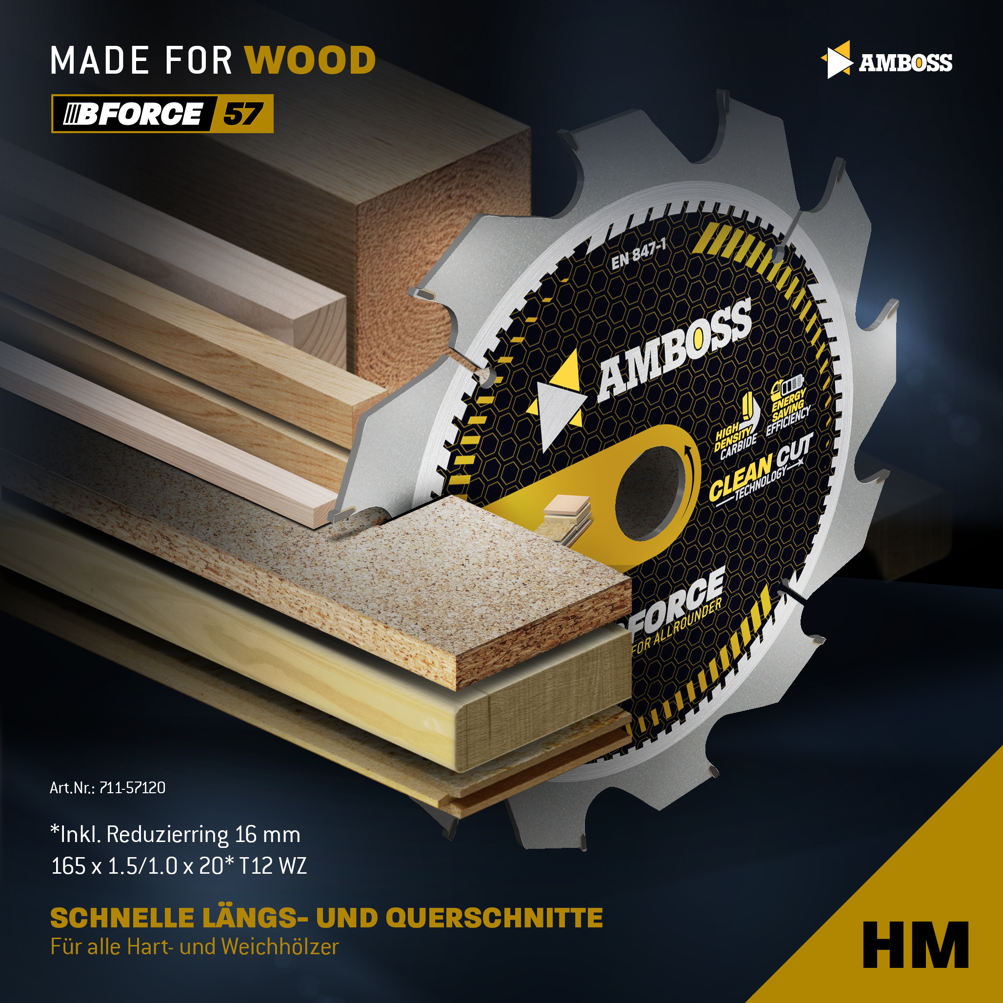 HM Kreissägeblatt - 165 x 1.5/1.0 x 20 Z12 WZ HM Kreissägeblatt - 165 x 1.5/1.0 x 20 Z12 WZ