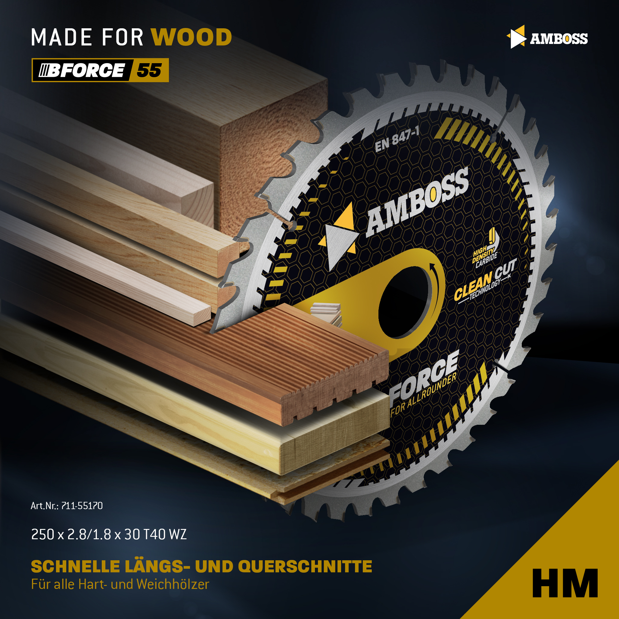 HM Kreissägeblatt - 250 x 2.8/1.8 x 30 Z40 WZ