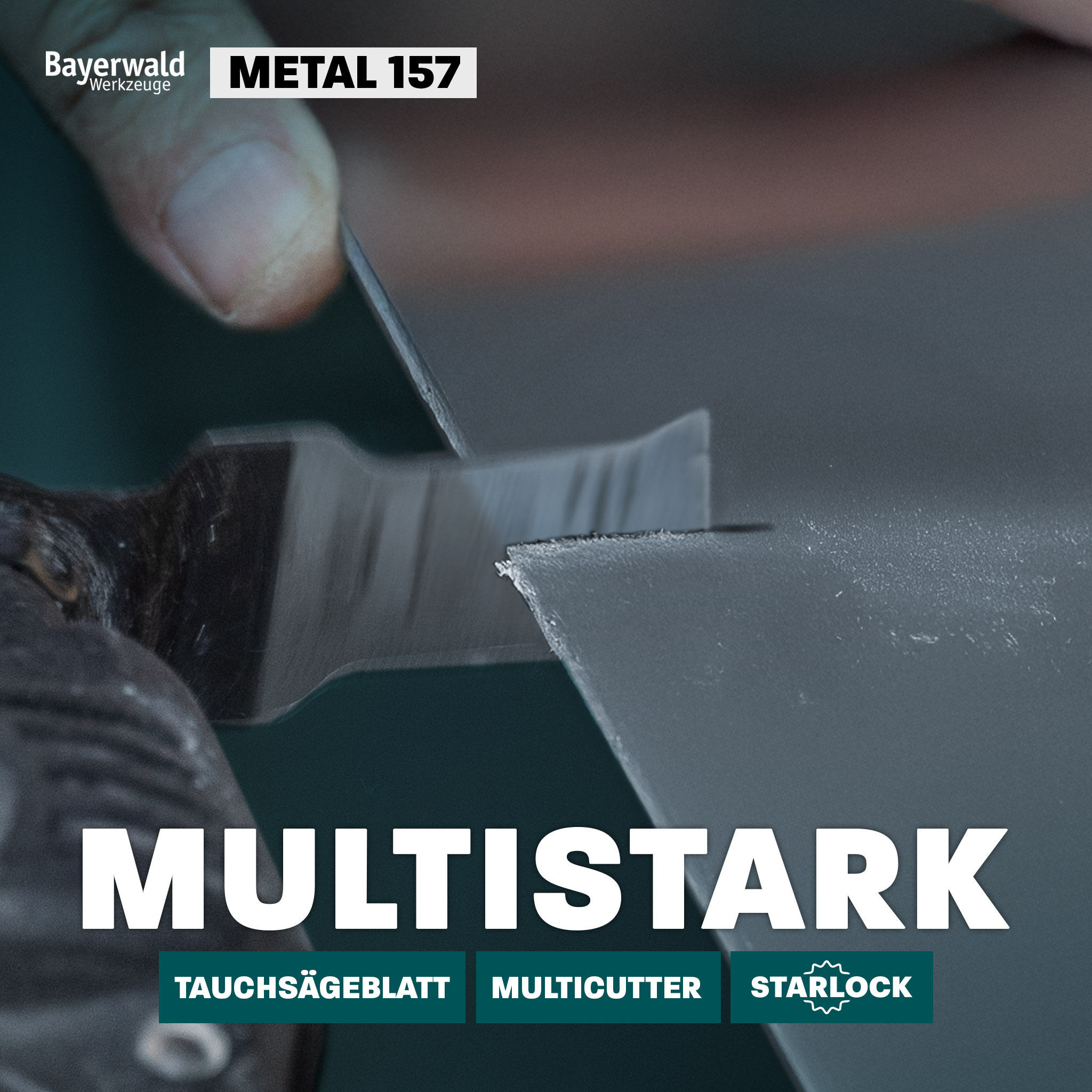 5x Bayerwald SL BiM Tauchsägeblatt 30x50mm