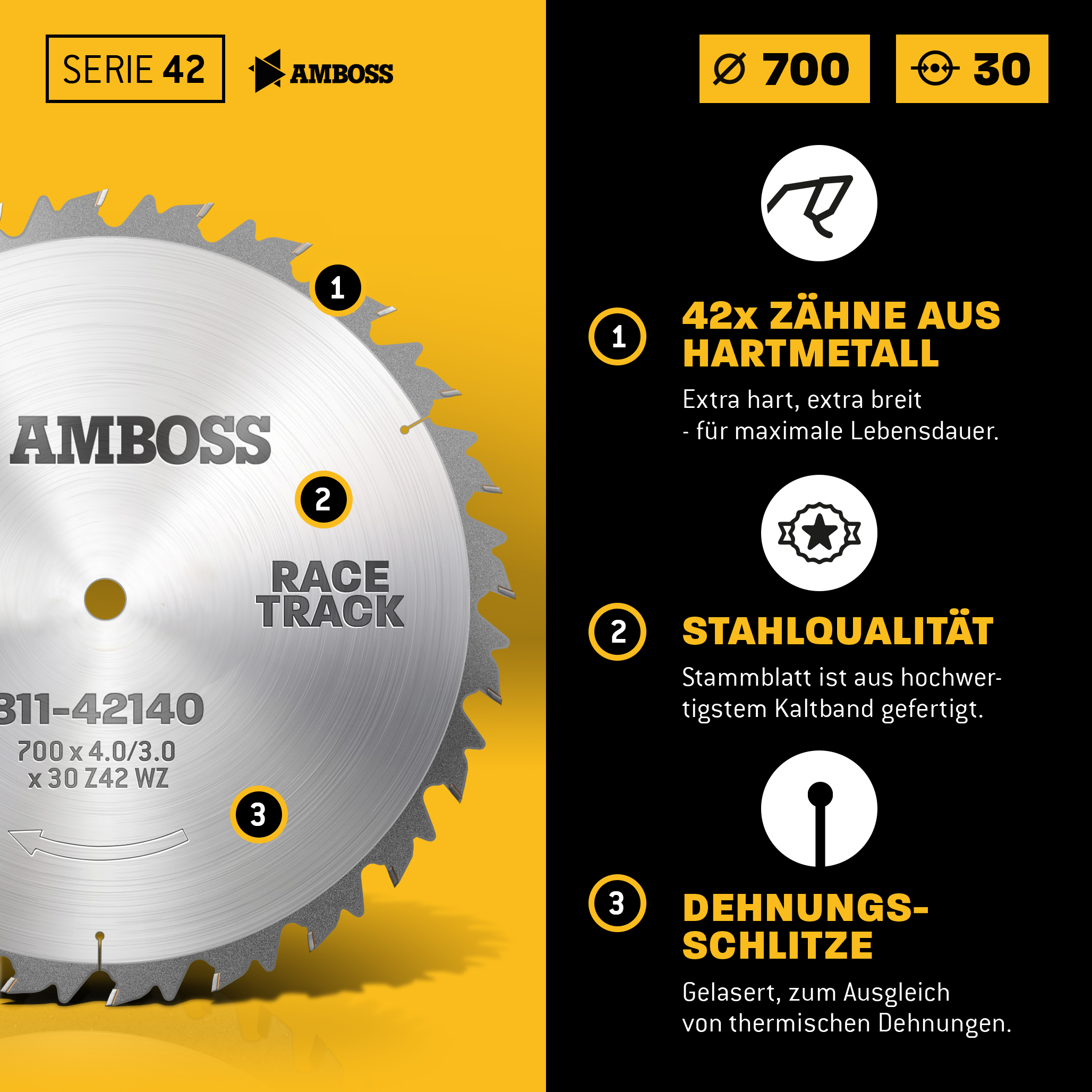 HM Kreissägeblatt - 700 x 4/3.0 x 30 Z42 WZ HM Kreissägeblatt - 700 x 4/3.0 x 30 Z42 WZ